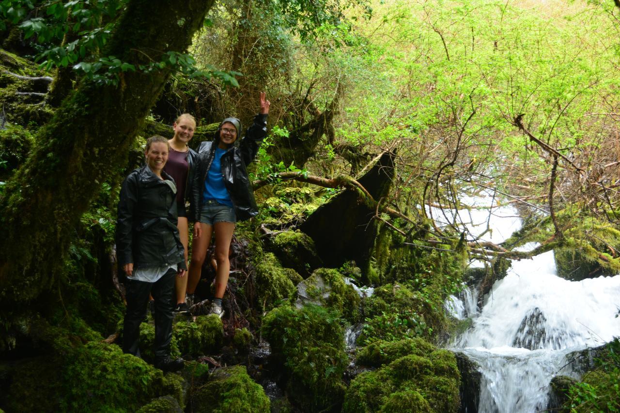 Rio Libre Pucon Party Hostel 外观 照片