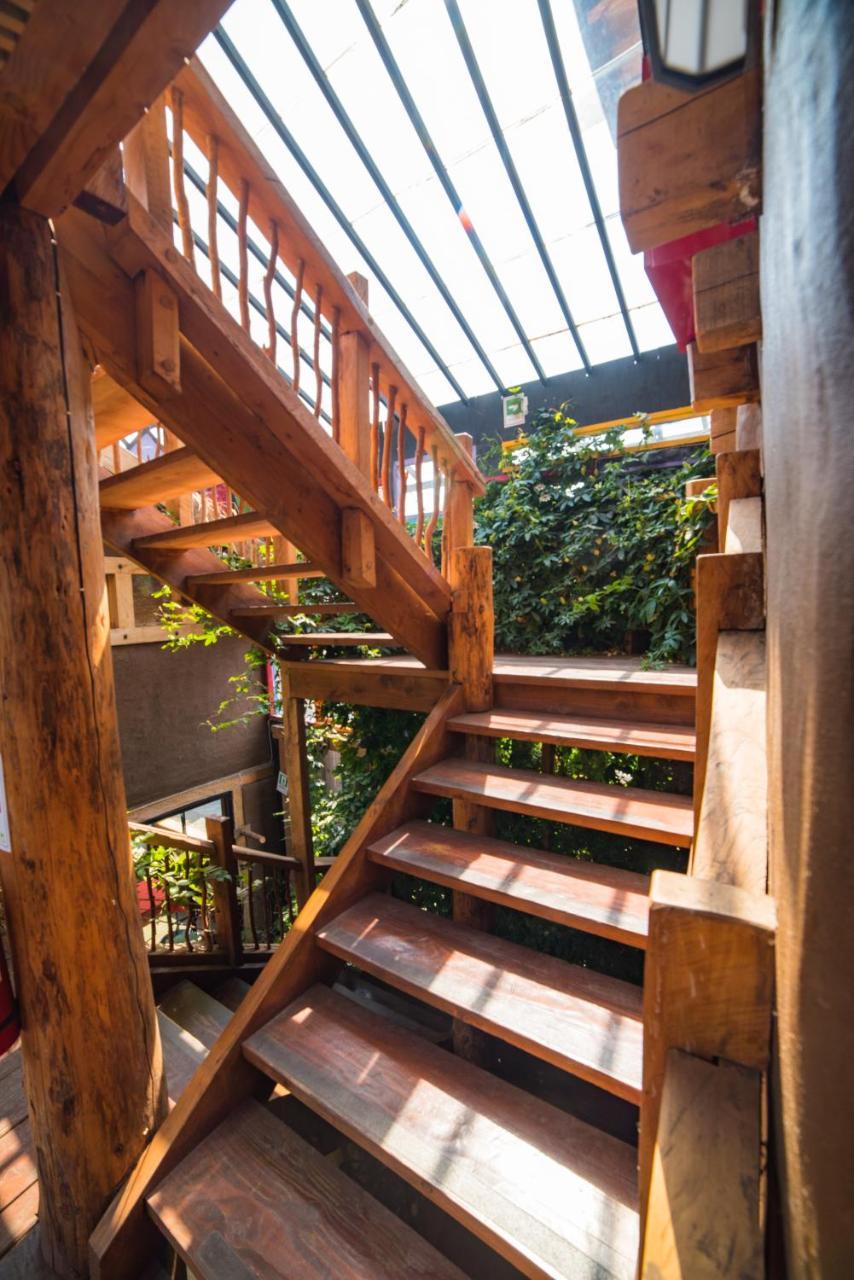 Rio Libre Pucon Party Hostel 外观 照片